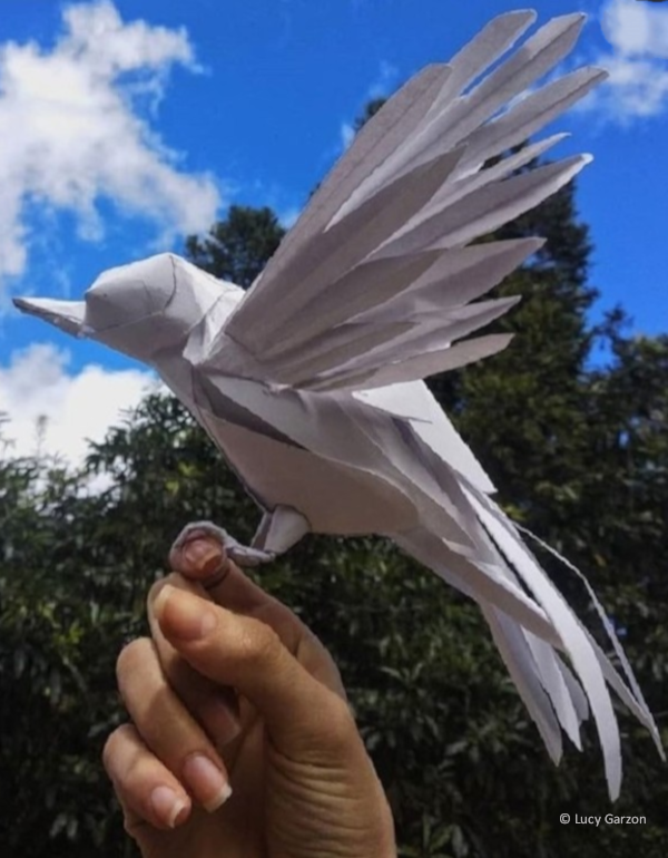 L'envol de la colombe de la paix